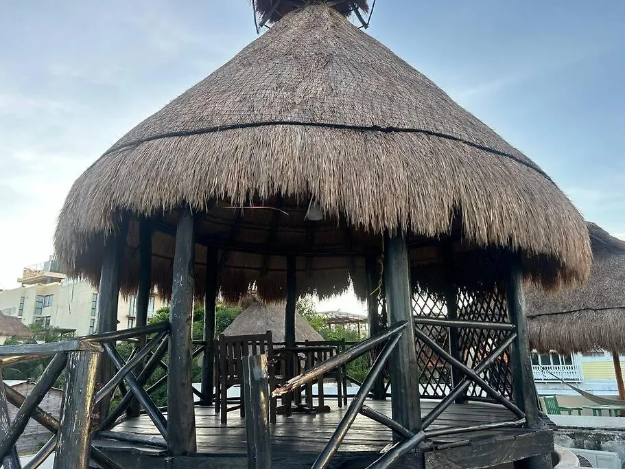 Апартаменты Blue Angel 18 A Unos Pasos De La Playa Y 5Av Плая-дель-Кармен