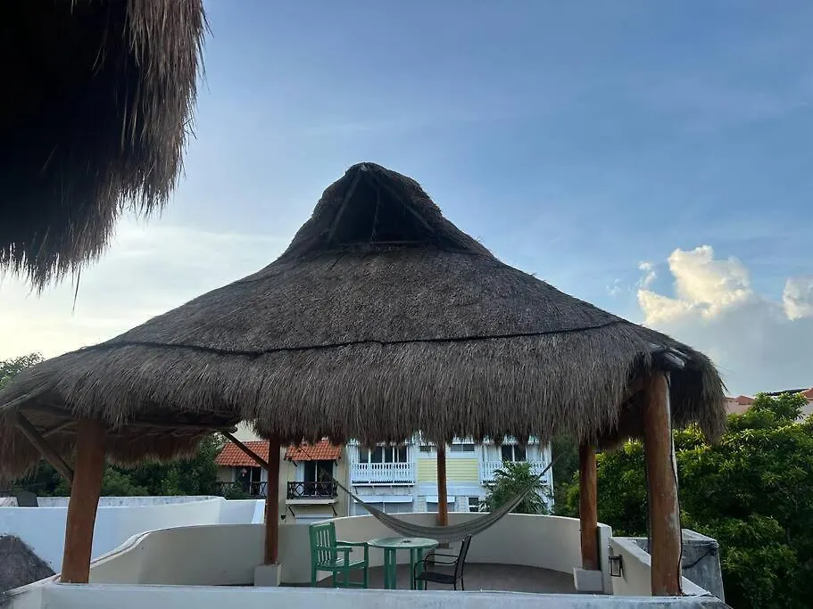 Апартаменты Blue Angel 18 A Unos Pasos De La Playa Y 5Av Плая-дель-Кармен